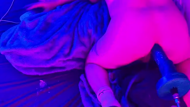 BJSchlect online show from 03-02-26, 10:00