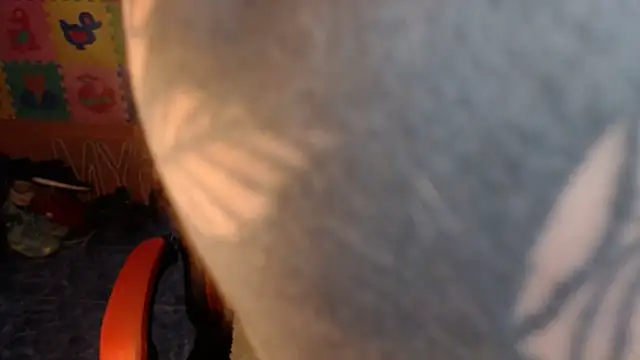 dannafitness online show from 03-06-26, 08:04