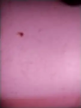 Snapshot of bisexualboy05 chatting on 09-20-25, 07:46 bisexualboy05 online show from 09-20-25, 07:46