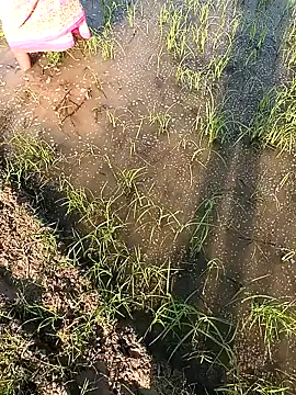 hairipussy2 online show from 02-07-25, 10:29