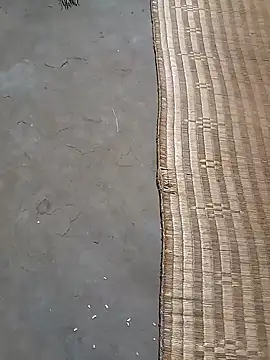 hairipussy2 online show from 02-06-25, 01:21