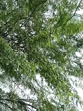 gaysexfun 123 online show from 12-20-25, 07:00