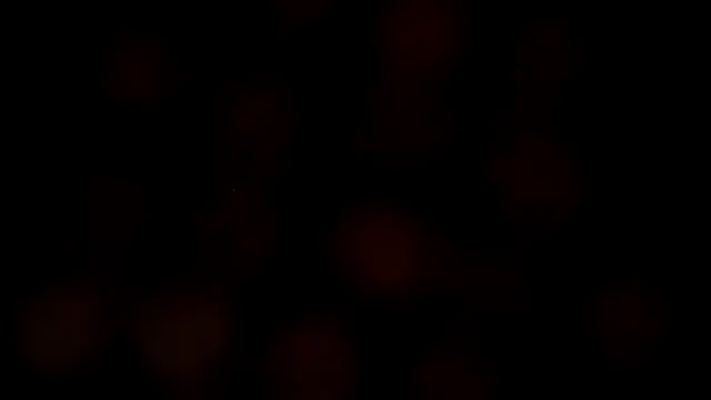 leatherz69 online show from 02-27-25, 07:19