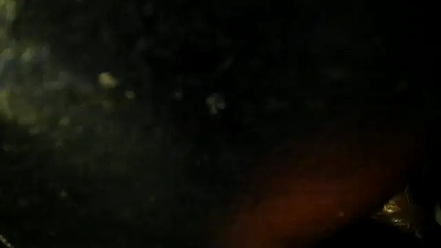 leatherz69 online show from 05-22-26, 02:42