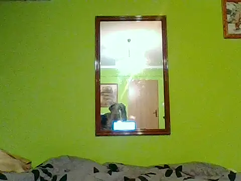 Tiger202441 online show from 01-07-26, 08:25