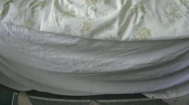 Tiger202441 online show from 02-27-25, 10:44