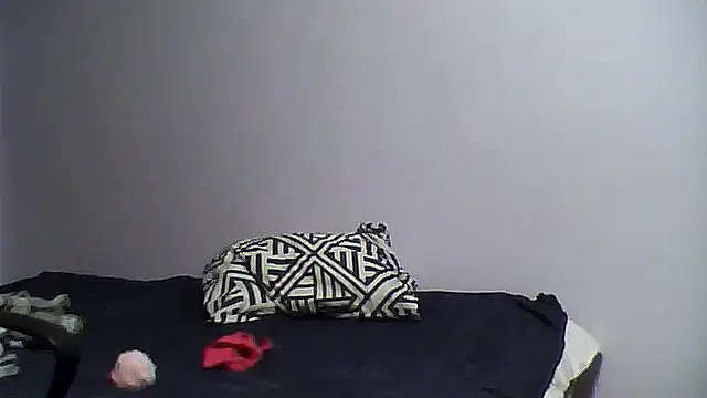 shufflercat online show from 03-10-26, 09:52