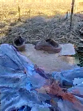 murokkk31 online show from 11-02-25, 10:53