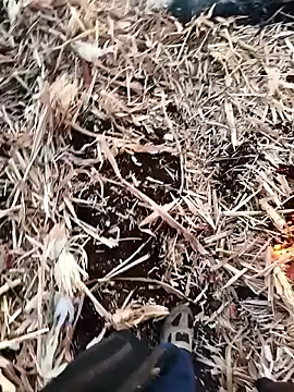 murokkk31 online show from 11-27-25, 04:02