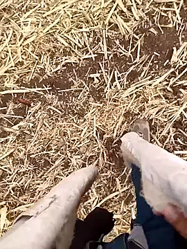 murokkk31 online show from 10-21-25, 04:56