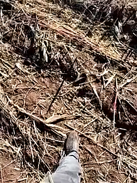 murokkk31 online show from 12-14-25, 08:42