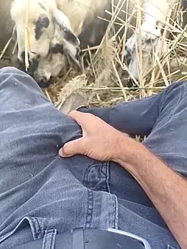 murokkk31 online show from 10-29-25, 09:30