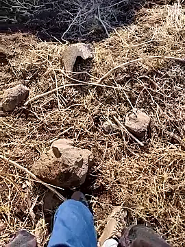 murokkk31 online show from 12-03-25, 06:25