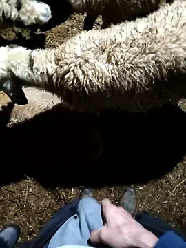 murokkk31 online show from 01-09-26, 11:33