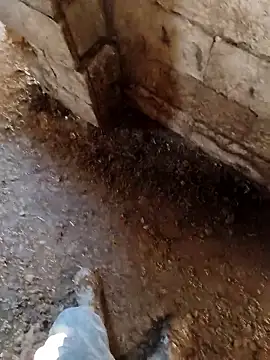 murokkk31 online show from 01-14-26, 07:12