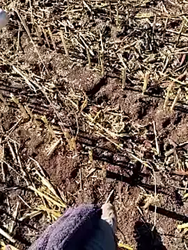 murokkk31 online show from 12-18-25, 09:36