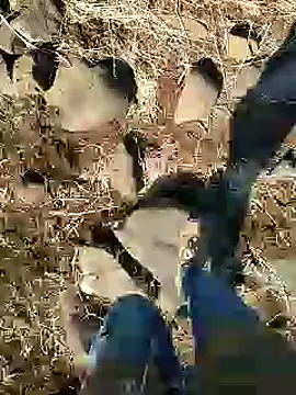 murokkk31 online show from 01-25-25, 09:15