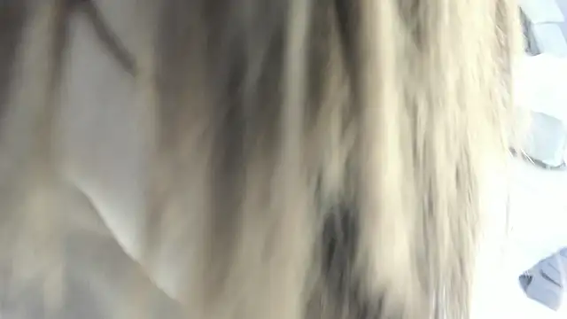 celestica rose online show from 02-02-26, 10:31