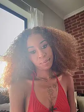 Snapshot of Dime-__ chatting on 02-21-25, 01:33 Dime- online show from 02-21-25, 01:33