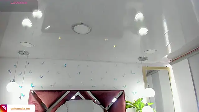  Antonnela  online show from 02-08-26, 02:37