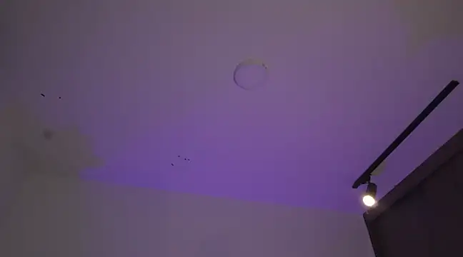 appolo allen online show from 03-17-25, 07:24