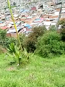 Snapshot of _snopyy_ chatting on 03-21-25, 03:57  snopyy  online show from 03-21-25, 03:57