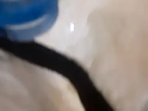 Snapshot of pedrodavid_ chatting on 03-14-25, 12:10 pedrodavid  online show from 03-14-25, 12:10