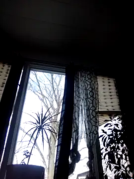 otterlover123 online show from 12-05-24, 07:00