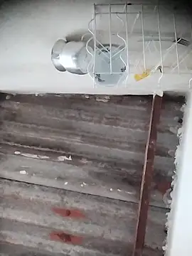 AlexaWarner online show from 12-20-25, 06:22