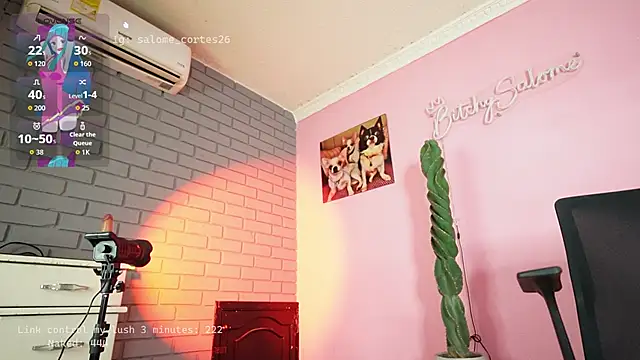 Snapshot of salome_cortes26 chatting on 05-04-26, 06:11 salome cortes26 online show from 05-04-26, 06:11