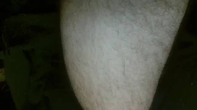 Gigadickman online show from 02-27-25, 01:30