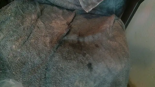 Gigadickman online show from 01-14-25, 08:26