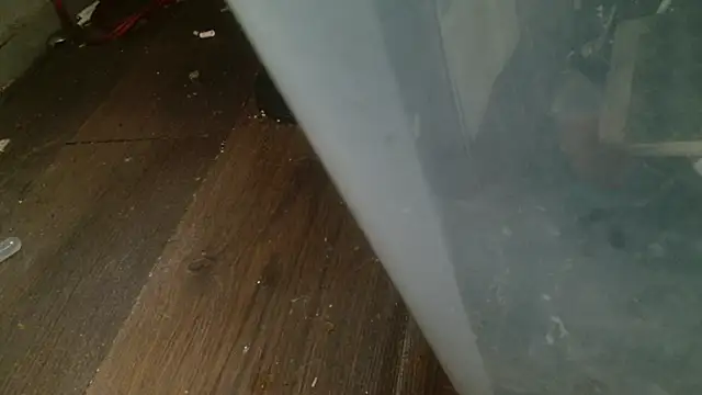 Gigadickman online show from 02-27-25, 04:35