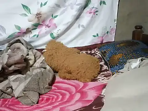 mdivah online show from 11-13-25, 06:34