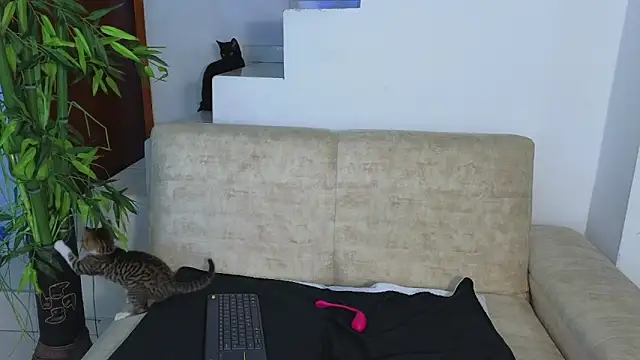 Lorenne Miller online show from 10-21-25, 03:39