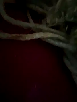 sammoura01 online show from 09-25-25, 12:00