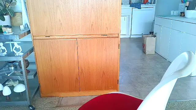 Snapshot of costanza7070 chatting on 04-21-26, 10:49 costanza7070 online show from 04-21-26, 10:49
