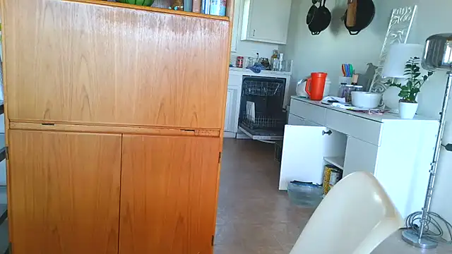 costanza7070 online show from 04-13-26, 09:08