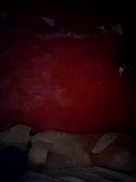 VL25DN26 online show from 10-30-25, 09:29