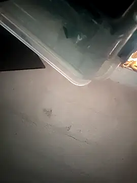 VL25DN26 online show from 03-09-26, 02:09