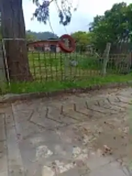 Cuervo maniaco online show from 12-17-25, 04:23