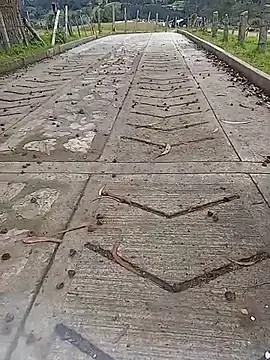 Cuervo maniaco online show from 10-12-25, 04:19