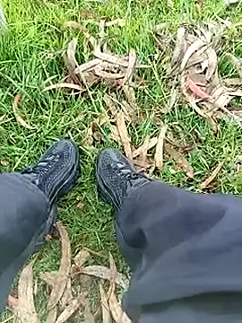 Cuervo maniaco online show from 11-14-25, 05:16