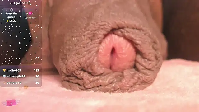 CharlotteLauren online show from 03-09-25, 09:57