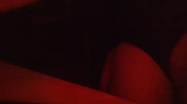 le0wz online show from 12-30-24, 03:03