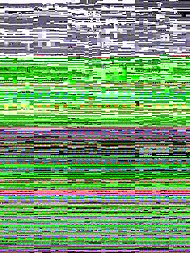 Snapshot of Savage_baby chatting on 03-13-25, 09:32 Savage baby online show from 03-13-25, 09:32