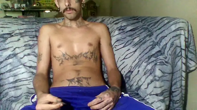 Snapshot of sellvageria chatting on 02-08-26, 01:09 sellvageria online show from 02-08-26, 01:09