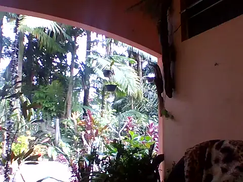 sellvageria online show from 10-04-25, 12:39