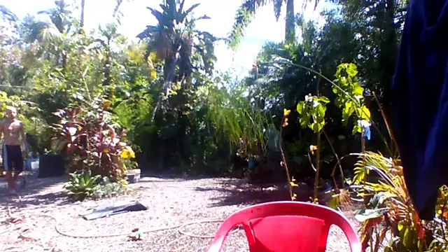 sellvageria online show from 12-15-25, 05:08