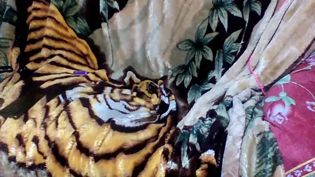 sellvageria online show from 10-12-25, 02:57